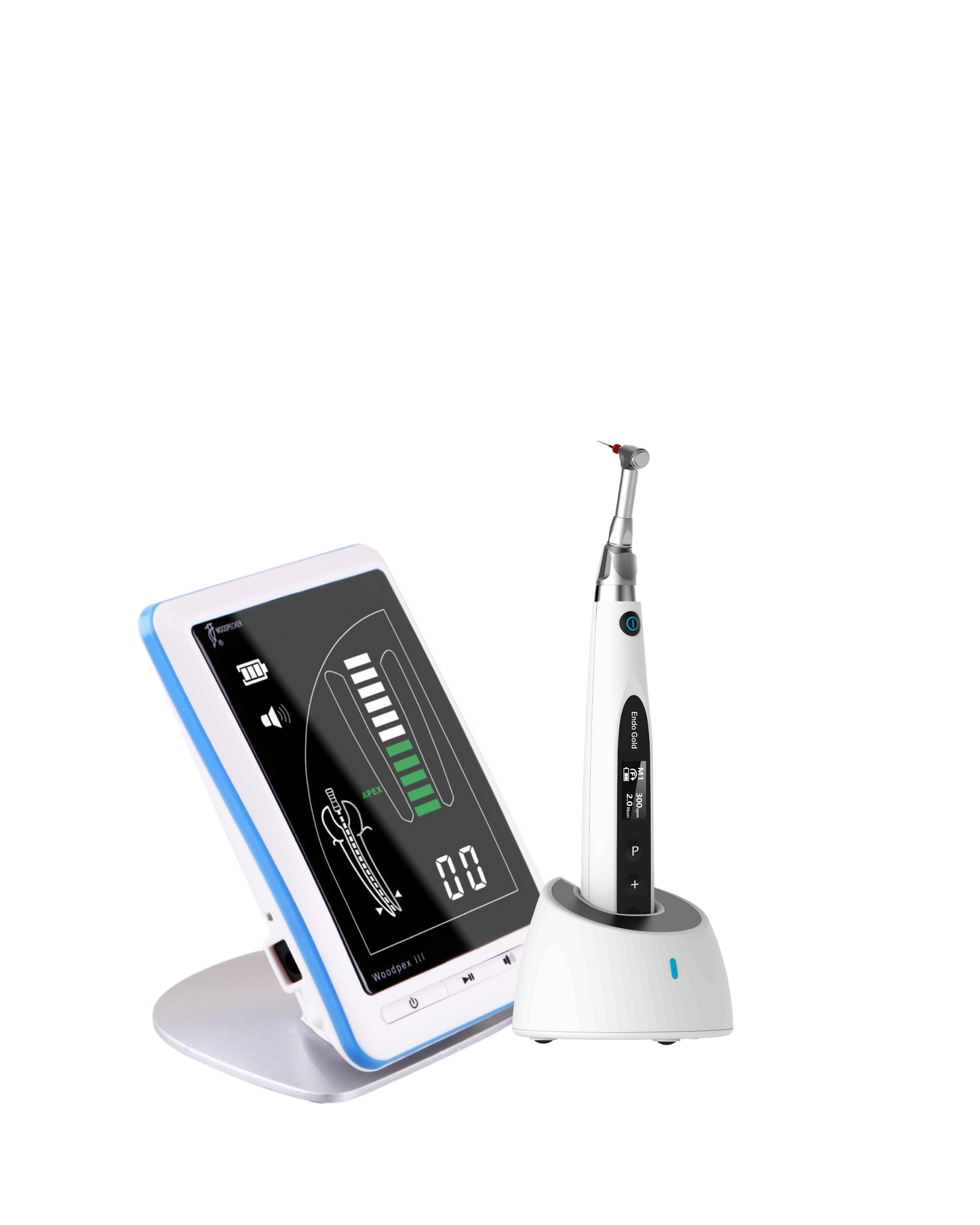 Endo Gold + Apex Blue