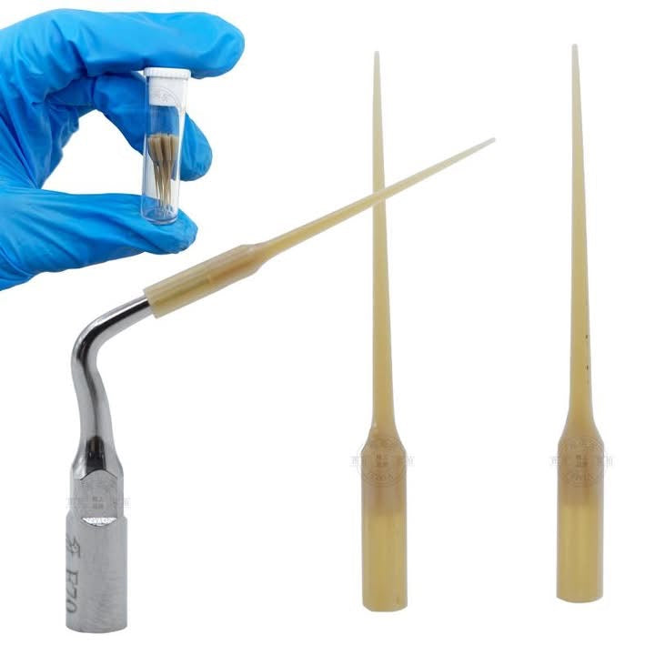 Woodpecker Endodontic tip (E72)