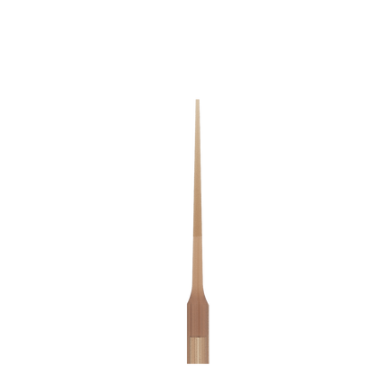Woodpecker Endodontic tip (E72)