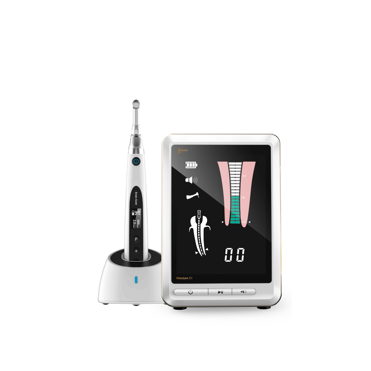 Super Economic Bundle