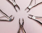 Dream Pedo Forceps kit (5 pieces)