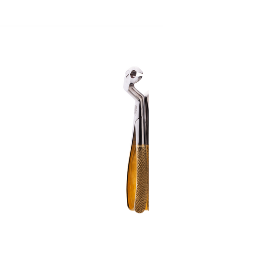 Mitex High Quality Lower 8 Gold Forceps