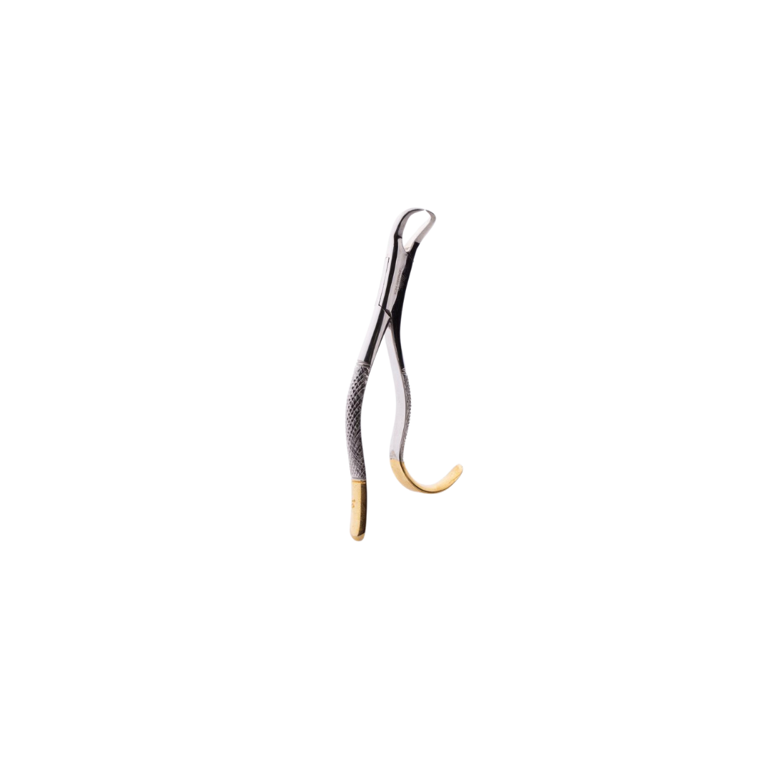 Mitex High Quality Cow Horn Gold Plated Forceps