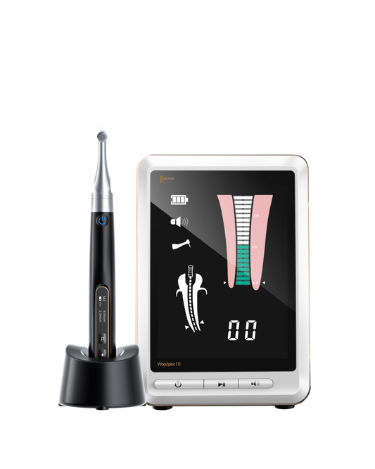 Standard bundle (Endo Pace + Woodpex III)